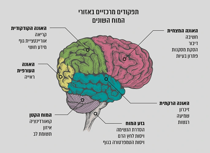 Центр мысли