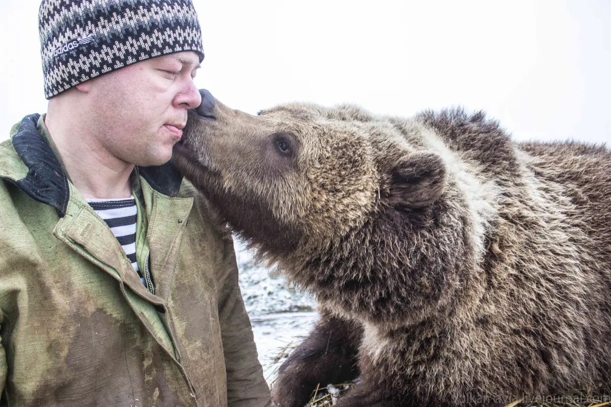 Российский пилот дважды спас медвежонка и стал его папой