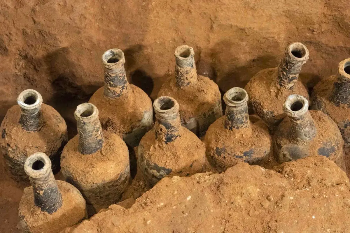 Что обнаружили археологи в подвале особняка Джорджа Вашингтона?