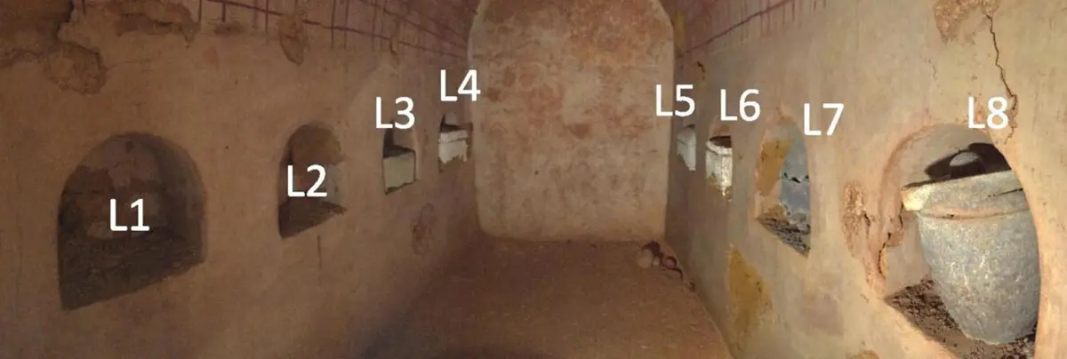 В римской гробнице в Испании обнаружили самое старое вино в истории