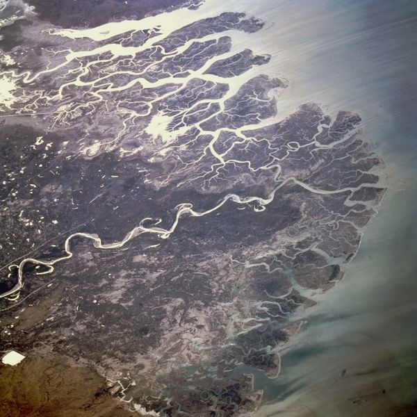 Дельта реки Инд, спутниковый снимок NASA